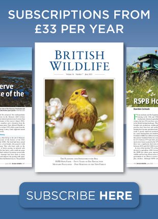 British Wildlife Magazine Subscription