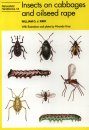 Insects on Cabbages and Oilseed Rape