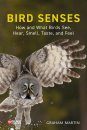 Bird Senses